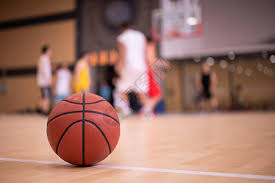 士队的球员 士队的球员