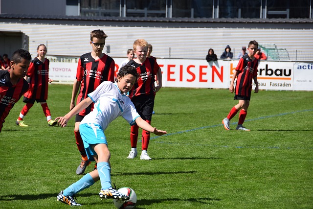 的数据支持 的数据支持