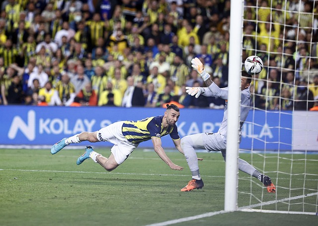 然预测准确 然预测准确