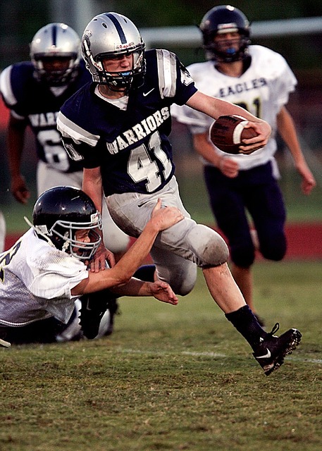 它揭示了体 它揭示了体