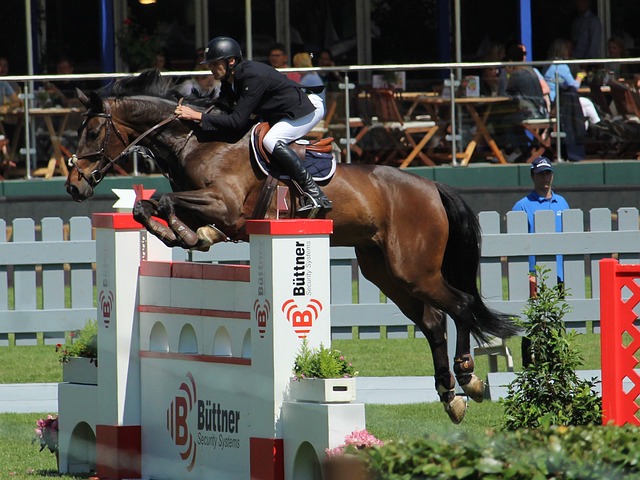 将成为雷恩 将成为雷恩