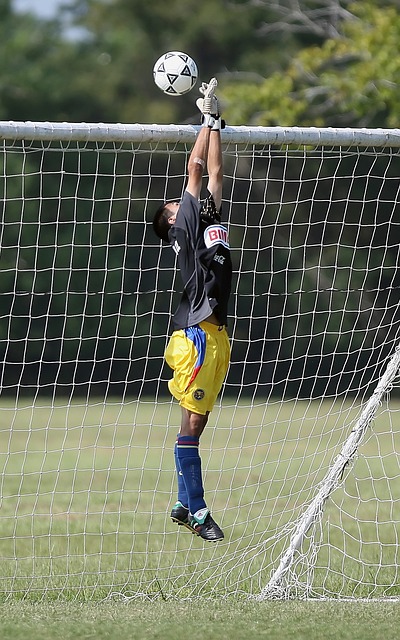 信任不仅仅 信任不仅仅